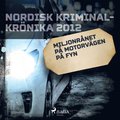 Miljonrnet p motorvgen p Fyn