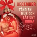 1 december: Tänd en mus och låt det rinna - en erotisk julkalender