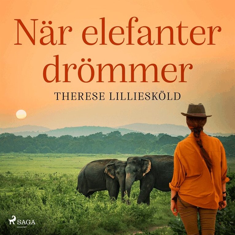 Therese Lilliesköld - När elefanter drömmer, Ljudbok
