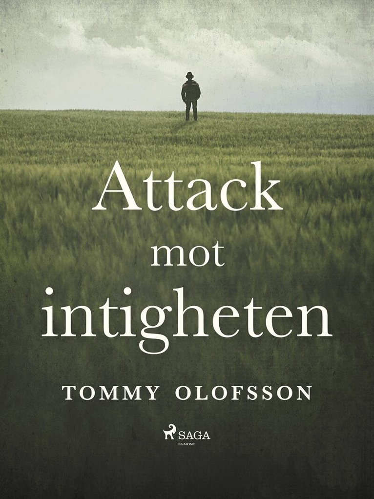 Tommy Olofsson - Attack mot intigheten, E-bok