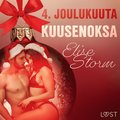 4. joulukuuta: Kuusenoksa ? eroottinen joulukalenteri