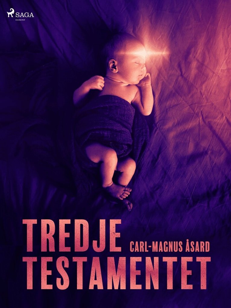 Carl-Magnus Åsard - Tredje Testamentet, E-bok