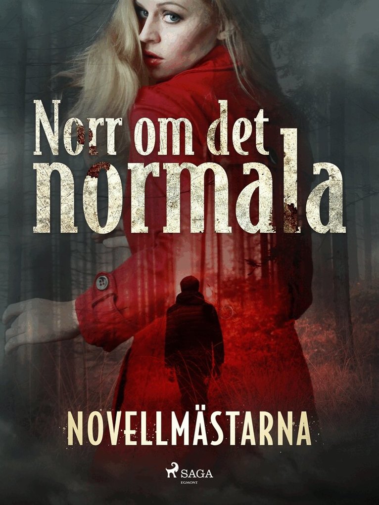Novellmästarna - Norr om det normala, E-bok