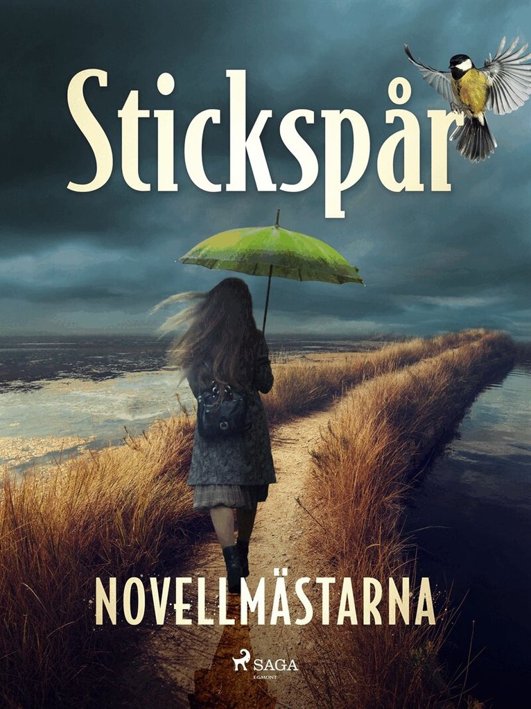 Novellmästarna - Stickspår, E-bok