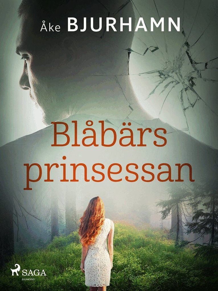 Åke Bjurhamn - Blåbärsprinsessan, E-bok