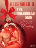 December 3: The Gingerbread Man - An Erotic Christmas Calendar