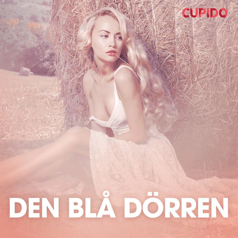 Cupido - Den blå dörren - erotiska noveller, Ljudbok