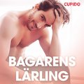 Bagarens lrling - erotiska noveller