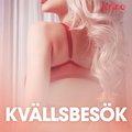 Kvllsbesk - erotiska noveller