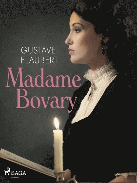 Gustave Flaubert - Madame Bovary, E-bok