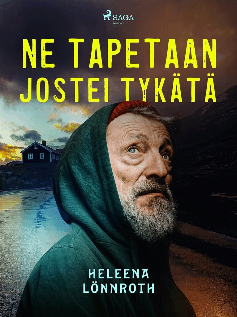 Heleena Lönnroth - Ne tapetaan jostei tykätä, E-bok