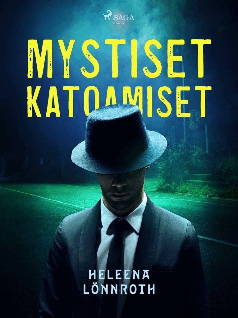 Heleena Lönnroth - Mystiset katoamiset, E-bok