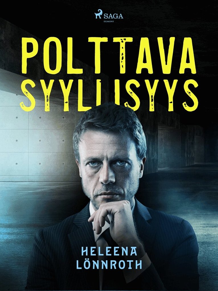 Heleena Lönnroth - Polttava syyllisyys, E-bok