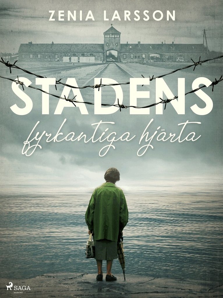 Zenia Larsson - Stadens fyrkantiga hjärta, E-bok