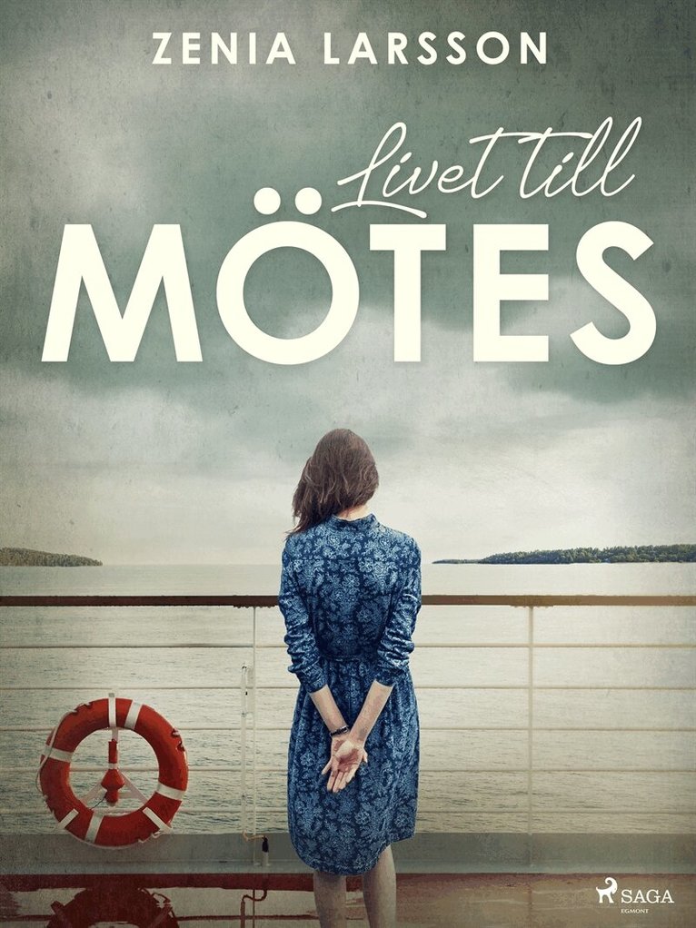 Zenia Larsson - Livet till mötes, E-bok