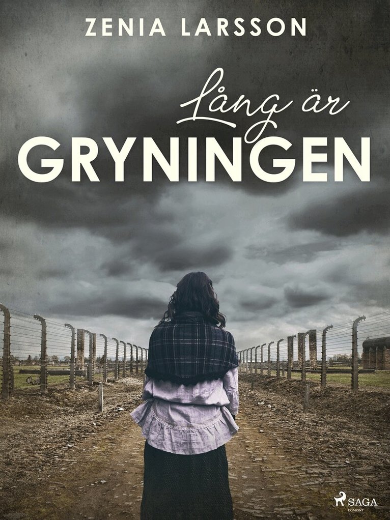 Zenia Larsson - Lång är gryningen, E-bok