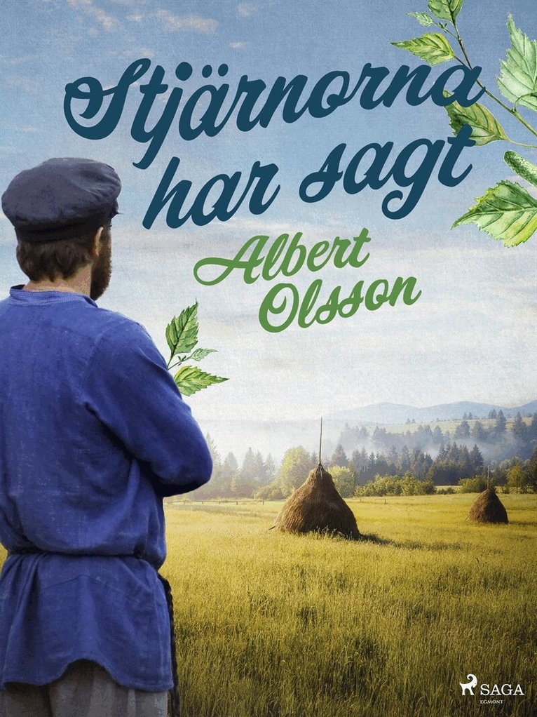 Albert Olsson - Stjärnorna har sagt, E-bok
