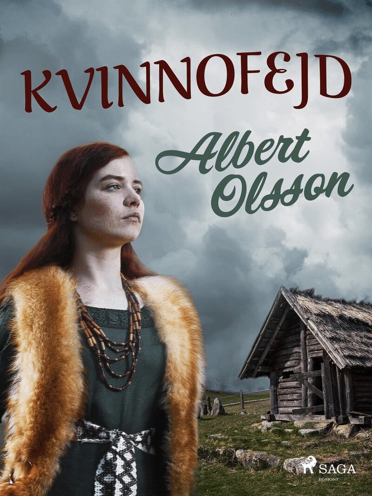 Albert Olsson - Kvinnofejd, E-bok