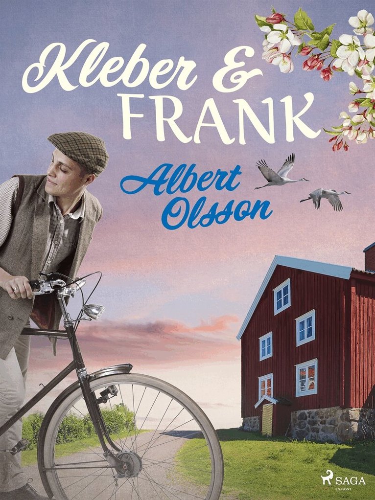 Albert Olsson - Kleber & Frank, E-bok