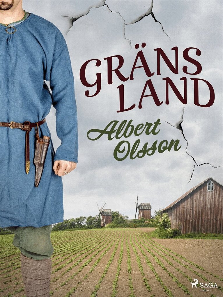 Albert Olsson - Gränsland, E-bok