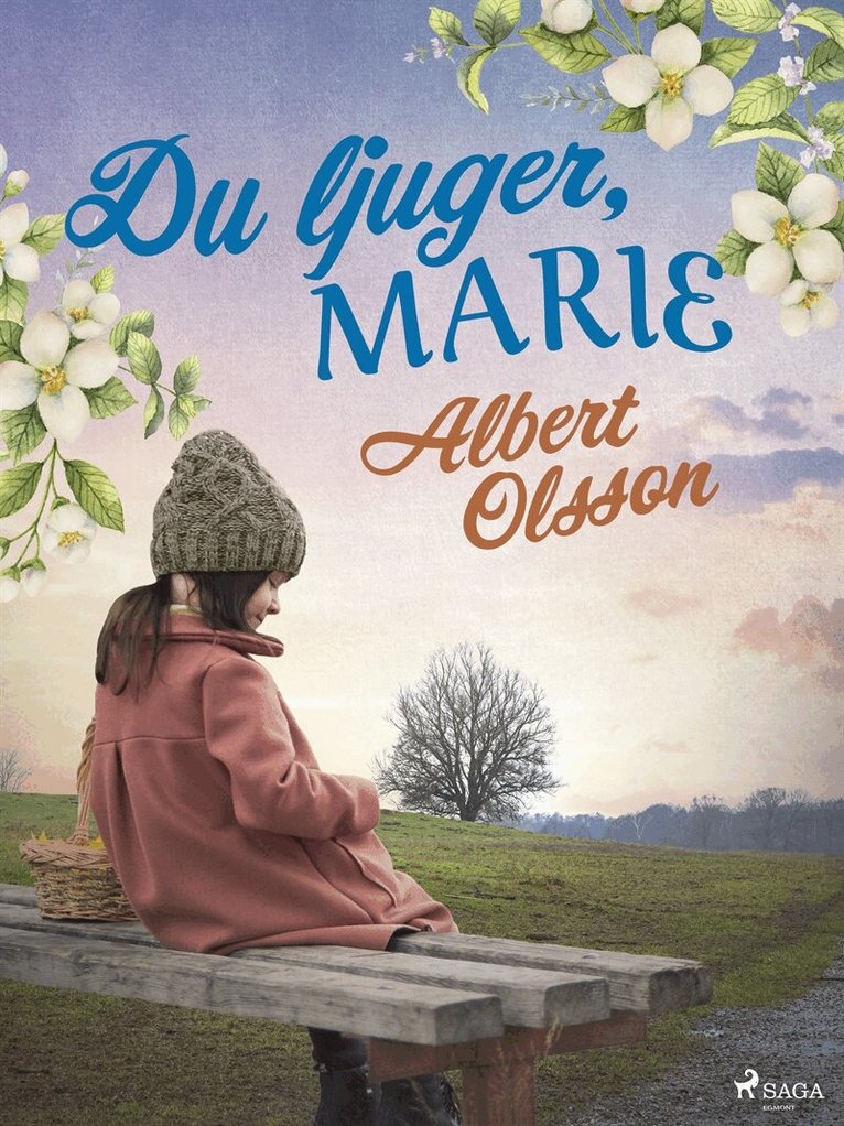 Albert Olsson - Du ljuger, Marie, E-bok