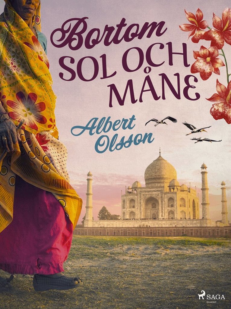 Albert Olsson - Bortom sol och måne, E-bok