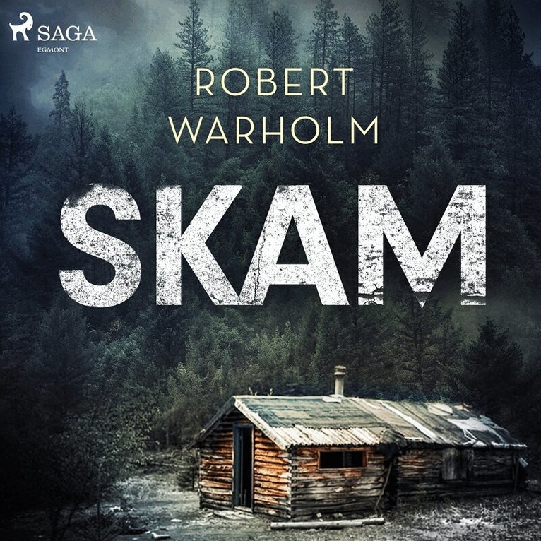 Robert Warholm - Skam, Ljudbok