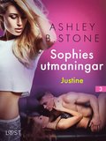 Sophies utmaningar 3: Justine - erotisk novell