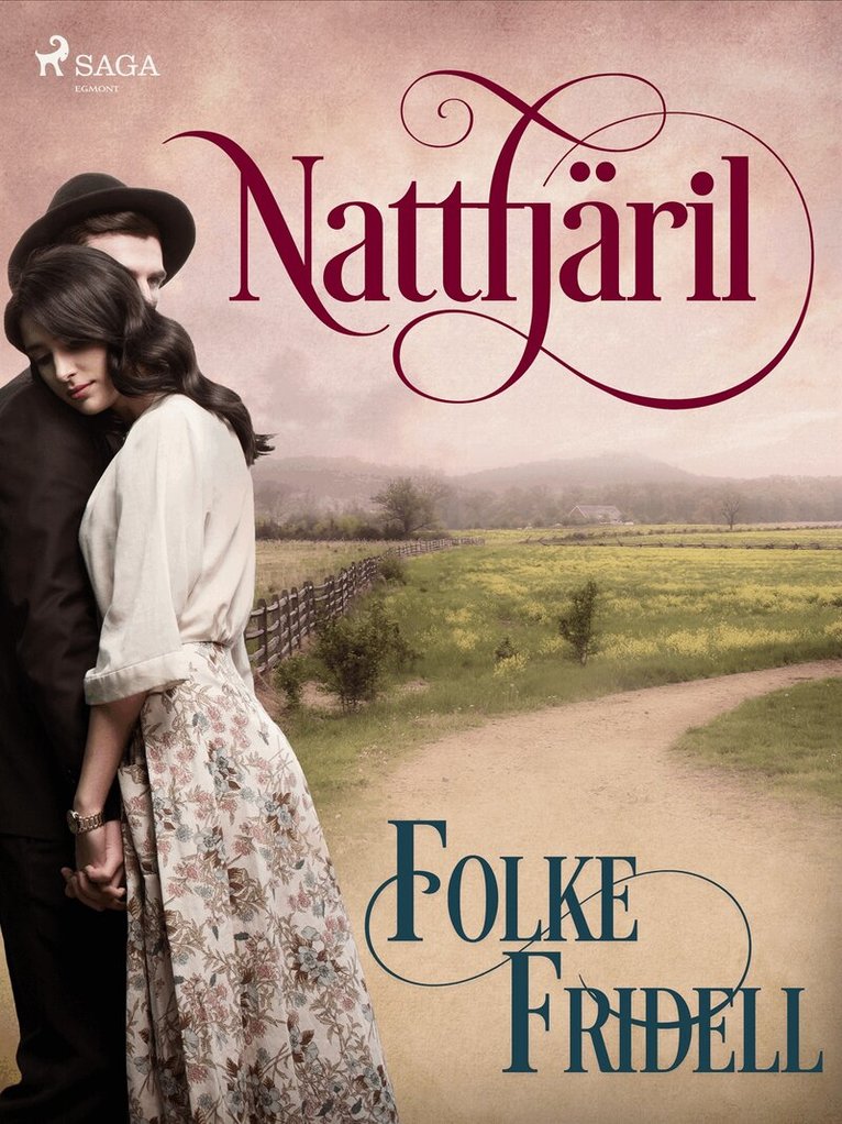 Folke Fridell - Nattfjäril, E-bok