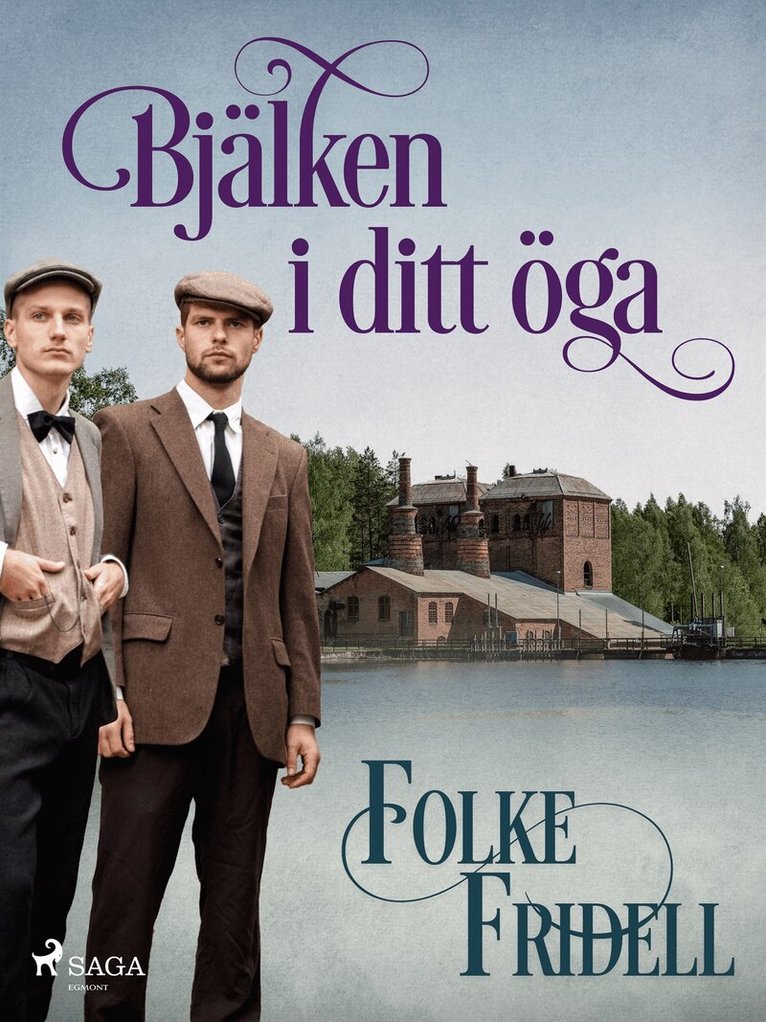 Folke Fridell - Bjälken i ditt öga, E-bok
