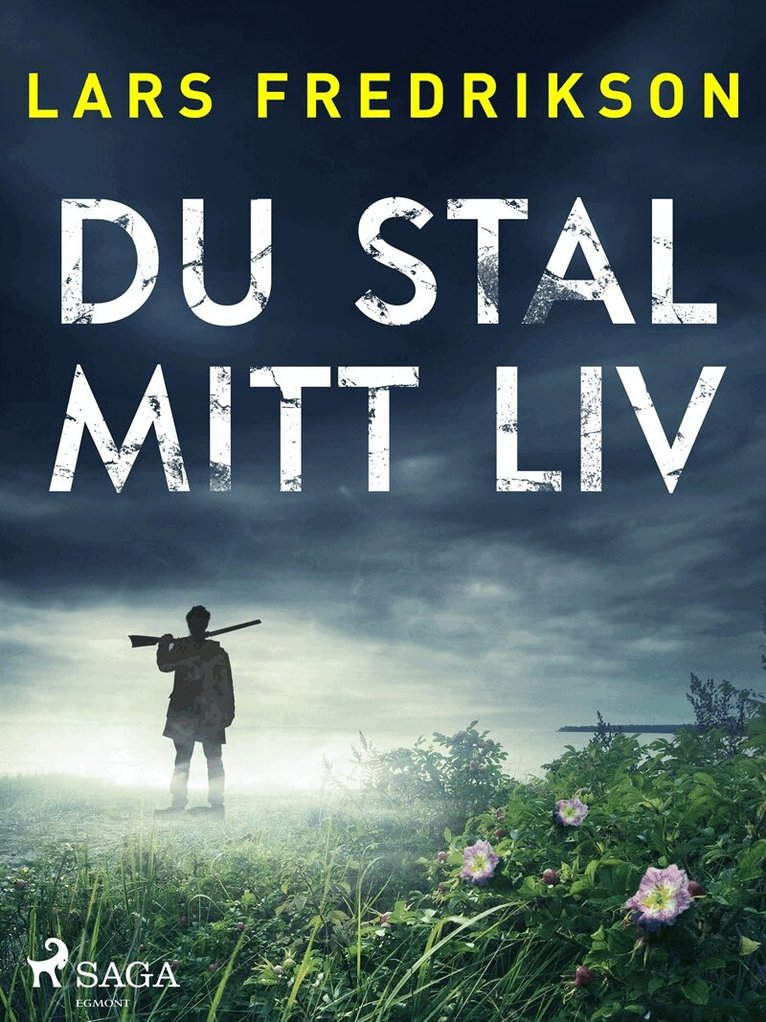 Lars Fredrikson - Du stal mitt liv, E-bok