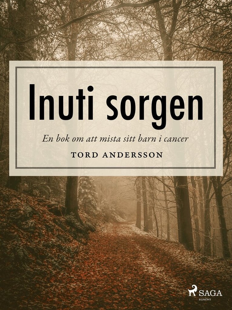 Tord Andersson - Inuti sorgen, E-bok