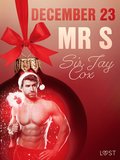 December 23: Mr S ? An Erotic Christmas Calendar