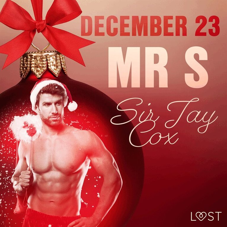 Sir Jay Cox - December 23: Mr S – An Erotic Christmas Calendar, Ljudbok. Tillgänglighet: Lägg i varukorg