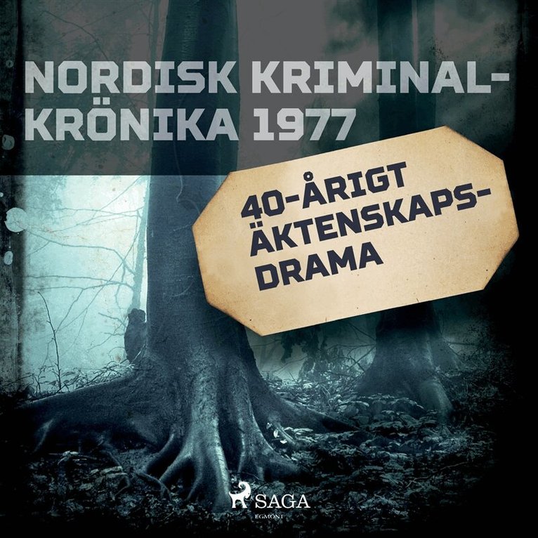 Diverse - 40-årigt äktenskapsdrama, Ljudbok