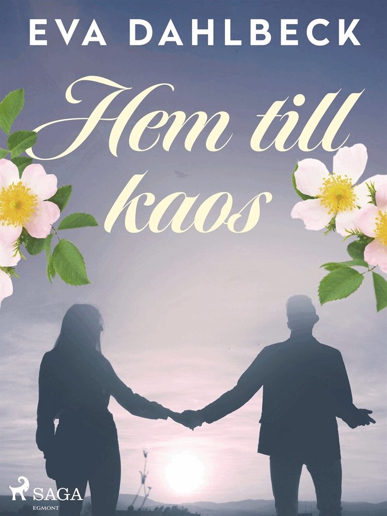 Eva Dahlbeck - Hem till kaos, E-bok