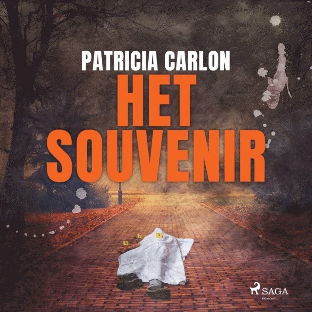 Carlon - Het souvenir, Ljudbok