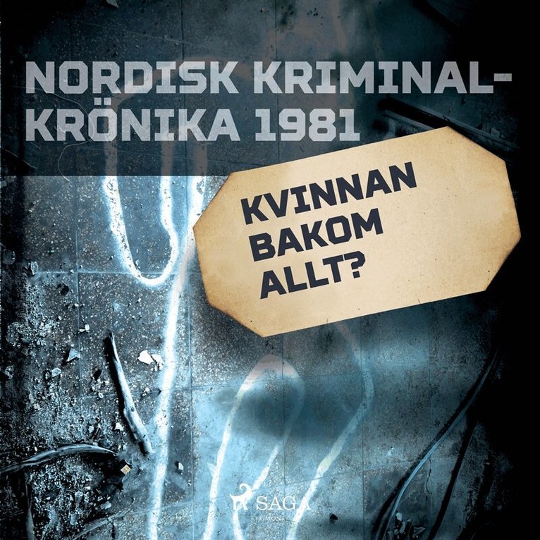 Diverse - Kvinnan bakom allt?, Ljudbok
