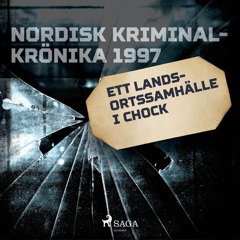 Diverse - Ett landsortssamhälle i chock, Ljudbok