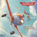 Flygplan - Snabbt!