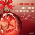 16. joulukuuta: Jouluinen erikoistoimitus ? eroottinen joulukalenteri