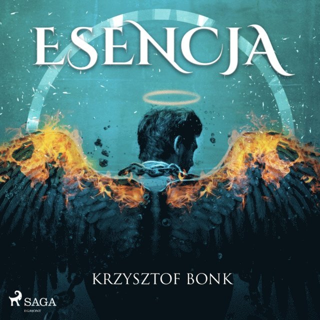 Bonk - Esencja, Ljudbok