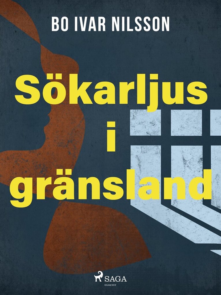 Bo Ivar Nilsson - Sökarljus i gränsland, E-bok