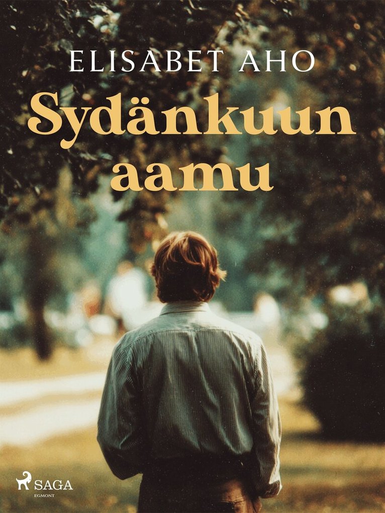 Elisabet Aho - Sydänkuun aamu, E-bok