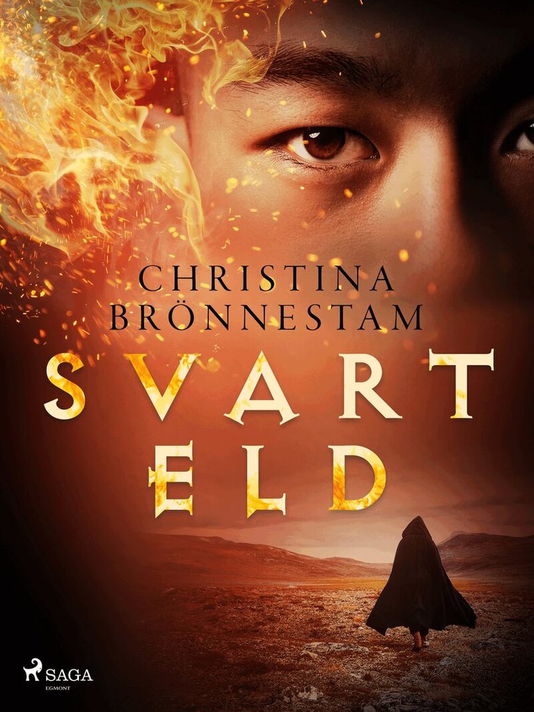 Christina Brönnestam - Svart eld, E-bok
