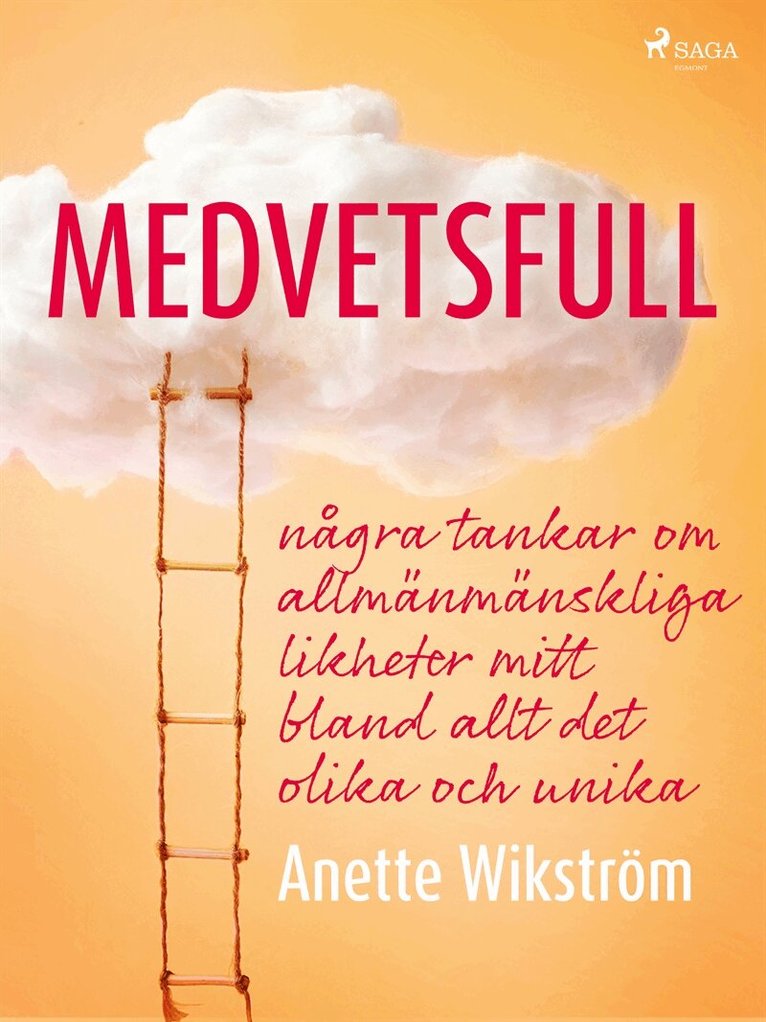 Anette Wikström - Medvetsfull: några tankar om allmänmänskliga likheter mitt bland allt det olika och unika, E-bok