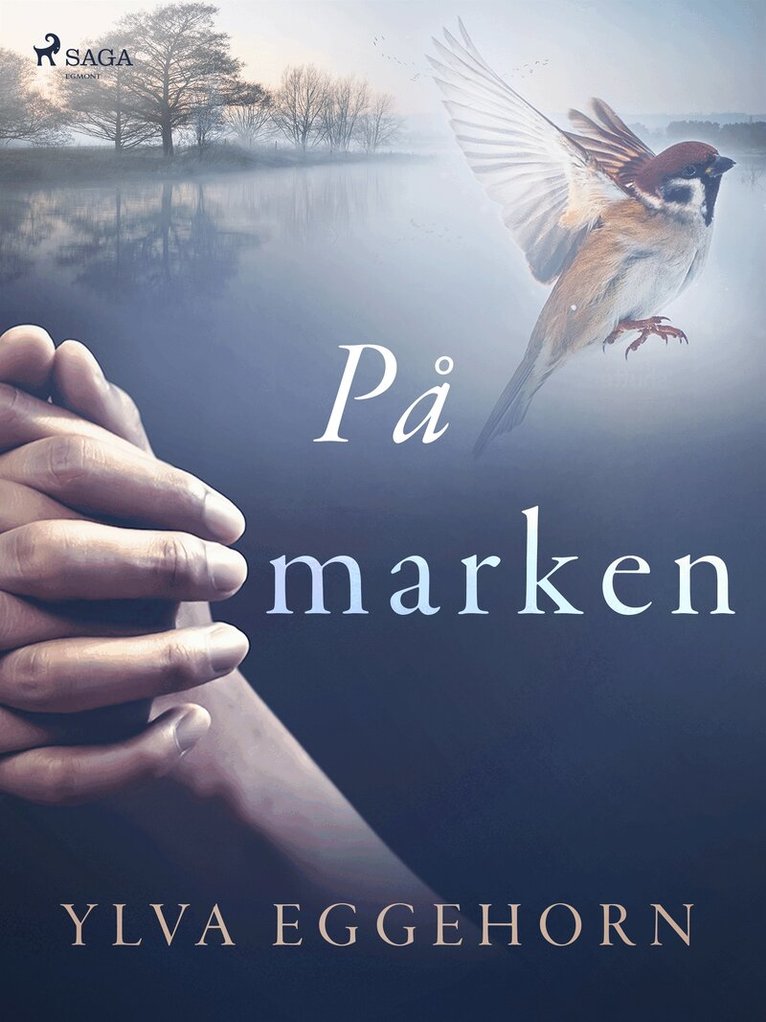 Ylva Eggehorn - På marken, E-bok