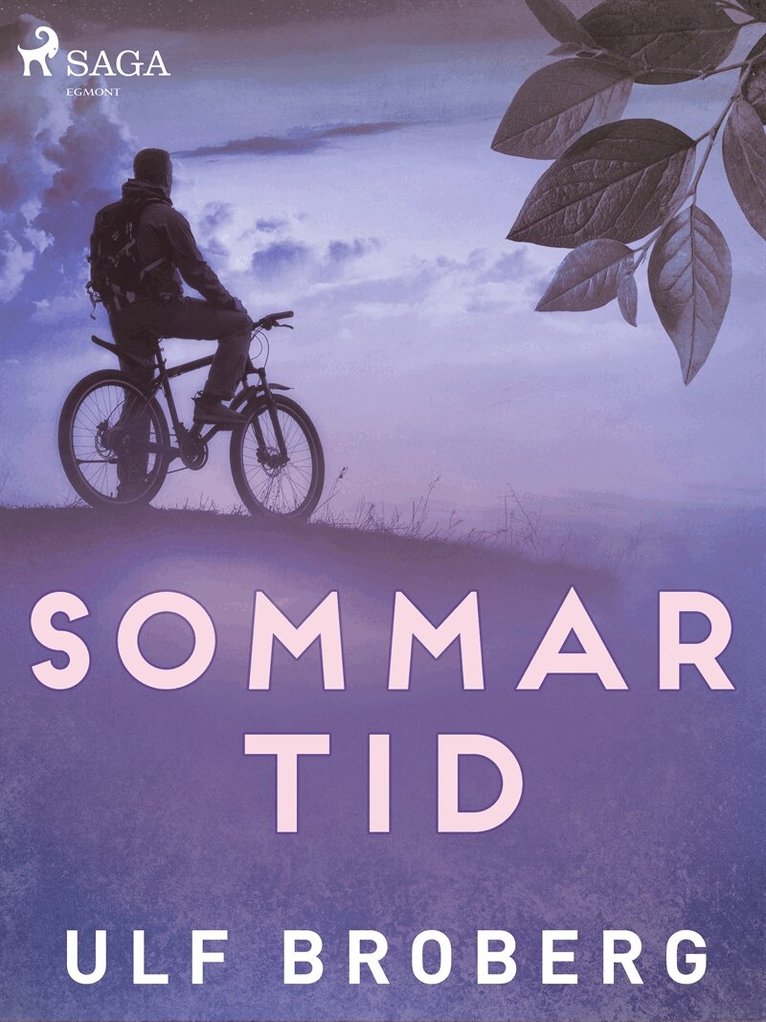 Ulf Broberg - Sommartid, E-bok