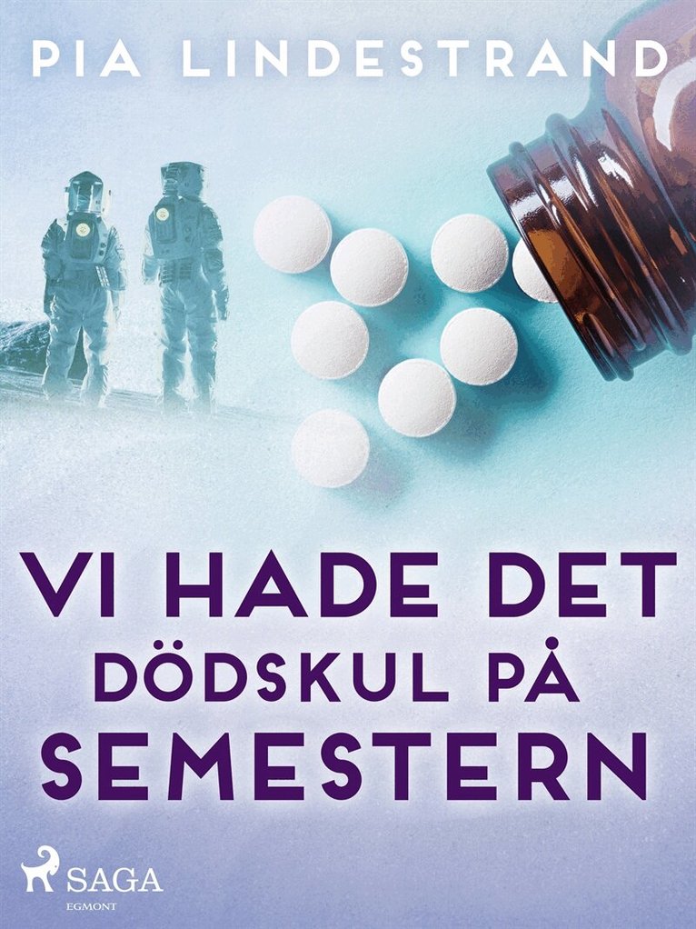 Pia Lindestrand - Vi hade det dödskul på semestern, E-bok