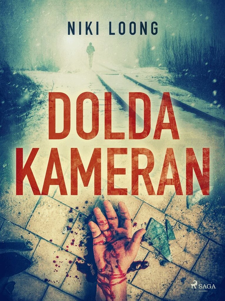 Niki Loong - Dolda kameran, E-bok